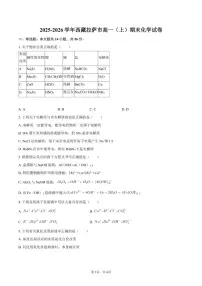 西藏拉萨市2025-2026学年高一（上）期末化学试卷（含答案）