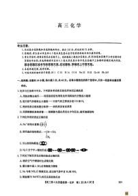2026年九师联盟高三上学期期末化学试题及答案