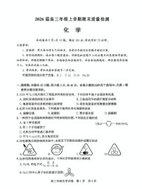 湖北武汉武昌区2026届高三上学期元月调考化学试卷（含答案）