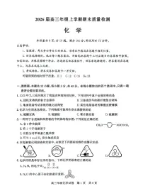 湖北武汉武昌区2026届高三上学期元月调考化学试卷（含答案）