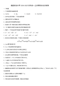 2024-2025学年福建省泉州市高一上学期期末化学试卷（学生版）