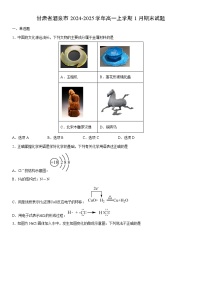 2024-2025学年甘肃省酒泉市高一上学期1月期末化学试卷（学生版）