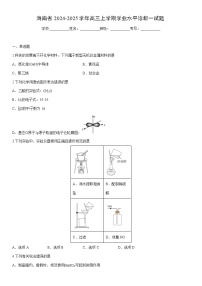 2024-2025学年海南省高三上学期学业水平诊断一化学试卷（学生版）