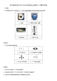 2025-2026学年辽宁省营口市高三上学期11月期中考试化学试卷