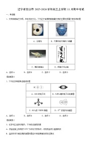 2025-2026学年辽宁省营口市高三上学期11月期中考试化学试卷(2)
