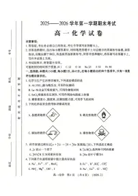 河南省洛阳市2025-2026学年高一上学期期末考试化学试卷（含答案）