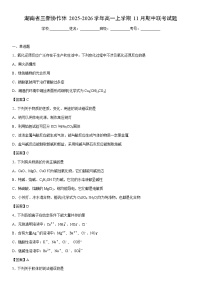 2025-2026学年湖南省三新协作体高一上学期11月期中联考化学试卷 含答案