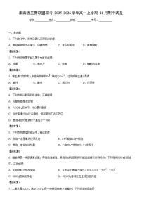 2025-2026学年湖南省三新联盟联考高一上学期11月期中化学试卷 含答案