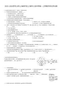 2025~2026学年10月上海闵行区上海市七宝中学高一上学期月考化学试卷（有答案解析）