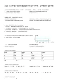 2025~2026学年广东深圳福田区深圳市红岭中学高一上学期期中化学试卷（有答案解析）