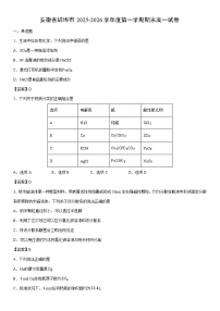 2025-2026学年安徽省蚌埠市度第一学期期末高一化学试卷