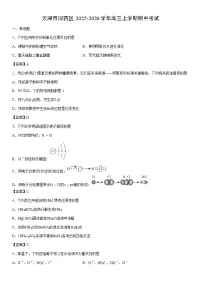 2025-2026学年天津市河西区高三上学期期中考试化学试卷