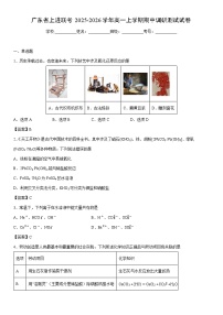 2025-2026学年广东省上进联考高一上学期期中调研测试化学试卷