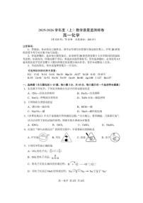 2025-2026学年四川省攀枝花市度高一（上）期末教学质量监测样卷化学试卷（含答案）