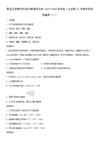 2025-2026学年黑龙江省新时代高中教育联合体高一上学期11月期中联考巩固卷（一）化学试卷