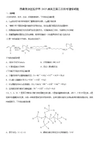 西藏自治区拉萨市2025届高三上第二次联考理综(学生版) 化学试卷