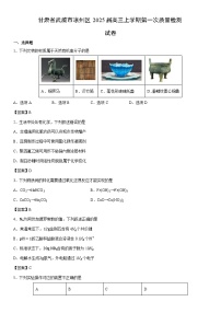 甘肃省武威市凉州区2025届高三上学期期末第一次质量检测化学试卷