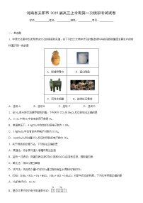 河南省安阳市2025届高三上学期第一次模拟考试化学试卷（学生版）