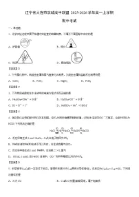 2025-2026学年辽宁省大连市滨城高中联盟高一上学期期中考试化学试卷