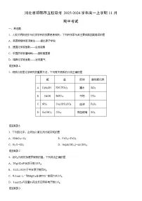 2025-2026学年河北省邯郸市五校联考高一上学期11月期中考试化学试卷