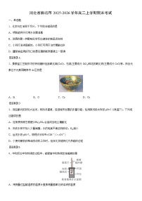 2025-2026学年河北省廊坊市高二上学期期末考试化学试卷