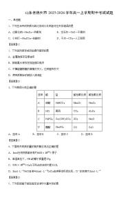 2025-2026学年山东省德州市高一上学期期中考试化学试卷