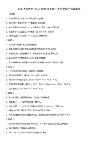 2025-2026学年山东省临沂市高一上学期期中考试化学试卷