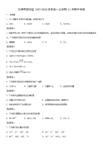 2025-2026学年天津市部分区高一上学期11月期中考试化学试卷