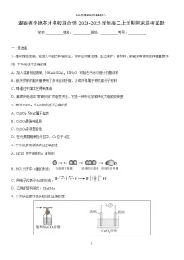2024-2025学年湖南省炎德英才名校联合体高二上学期期末联考化学试卷（学生版）
