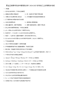 2024-2025学年黑龙江省新时代高中教育联合体高二上学期期末考试化学试卷（学生版）
