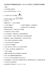 2024-2025学年浙江省杭州市西湖区杭高统考高二上学期期末考试化学试卷（学生版）