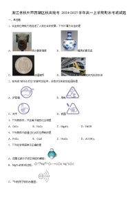 2024-2025学年浙江省杭州市西湖区杭高统考高一上学期期末考试化学试卷（学生版）