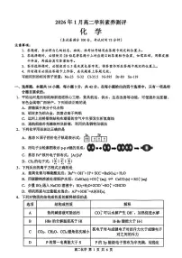 广西壮族自治区河池市2025-2026学年高二上学期1月学科素养测评（期末）化学试题含答案