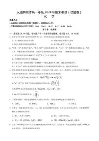 2024-2025学年湖南省沅澧共同体高一上学期期末考试化学试题（含答案）