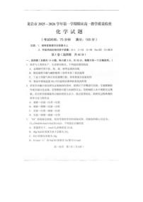 2025-2026学年福建龙岩市第一学期期末高一化学试题（含答案）
