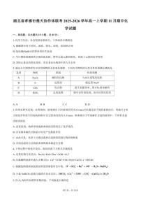 2025-2026学年湖北省孝感市楚天协作体联考高一上学期11月期中化学试题（含答案）