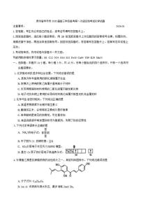 贵州省毕节市2026届高三年级上高考第一次适应性考试化学试题（含答案）