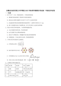 2025-2026学年安徽合肥市六校联考高一上学期期末考试化学试卷（含答案）