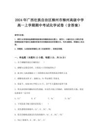 2024年广西壮族自治区柳州市柳州高级中学高一上学期期中考试化学试卷（含解析）