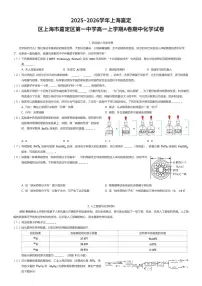 2025~2026学年上海嘉定区上海市嘉定区第一中学高一上学期A卷期中化学试卷（有答案解析）