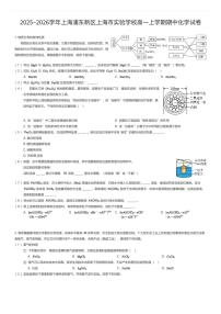2025~2026学年上海浦东新区上海市实验学校高一上学期期中化学试卷（有答案解析）