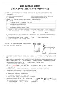 2025~2026学年上海浦东新区华东师范大学第二附属中学高一上学期期中化学试卷（有答案解析）