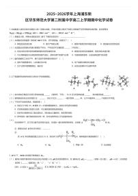 2025~2026学年上海浦东新区华东师范大学第二附属中学高二上学期期中化学试卷（有答案解析）