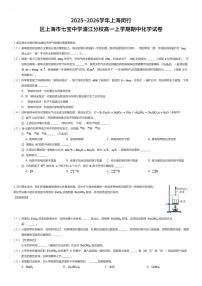 2025~2026学年上海闵行区上海市七宝中学浦江分校高一上学期期中化学试卷（有答案解析）