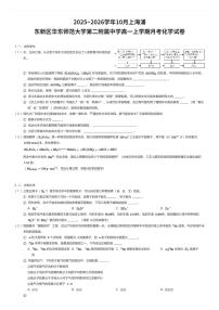 2025~2026学年10月上海浦东新区华东师范大学第二附属中学高一上学期月考化学试卷（有答案解析）
