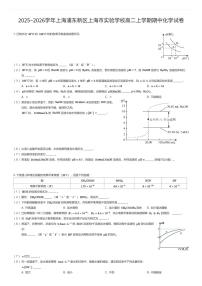 2025~2026学年上海浦东新区上海市实验学校高二上学期期中化学试卷（有答案解析）