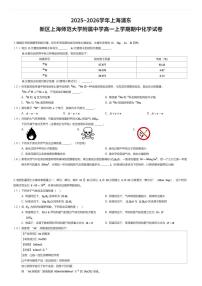 2025~2026学年上海浦东新区上海师范大学附属中学高一上学期期中化学试卷（有答案解析）