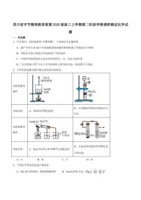 2026届四川省字节精准教育联盟高三上学期第二阶段学情调研测试化学试卷（含答案）