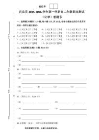 2025-2026学年新疆喀什地区莎车县高二上学期期末考试化学试卷（含答案）