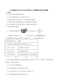2026届山东省泰安市高三上学期期末考试化学试卷（含答案）